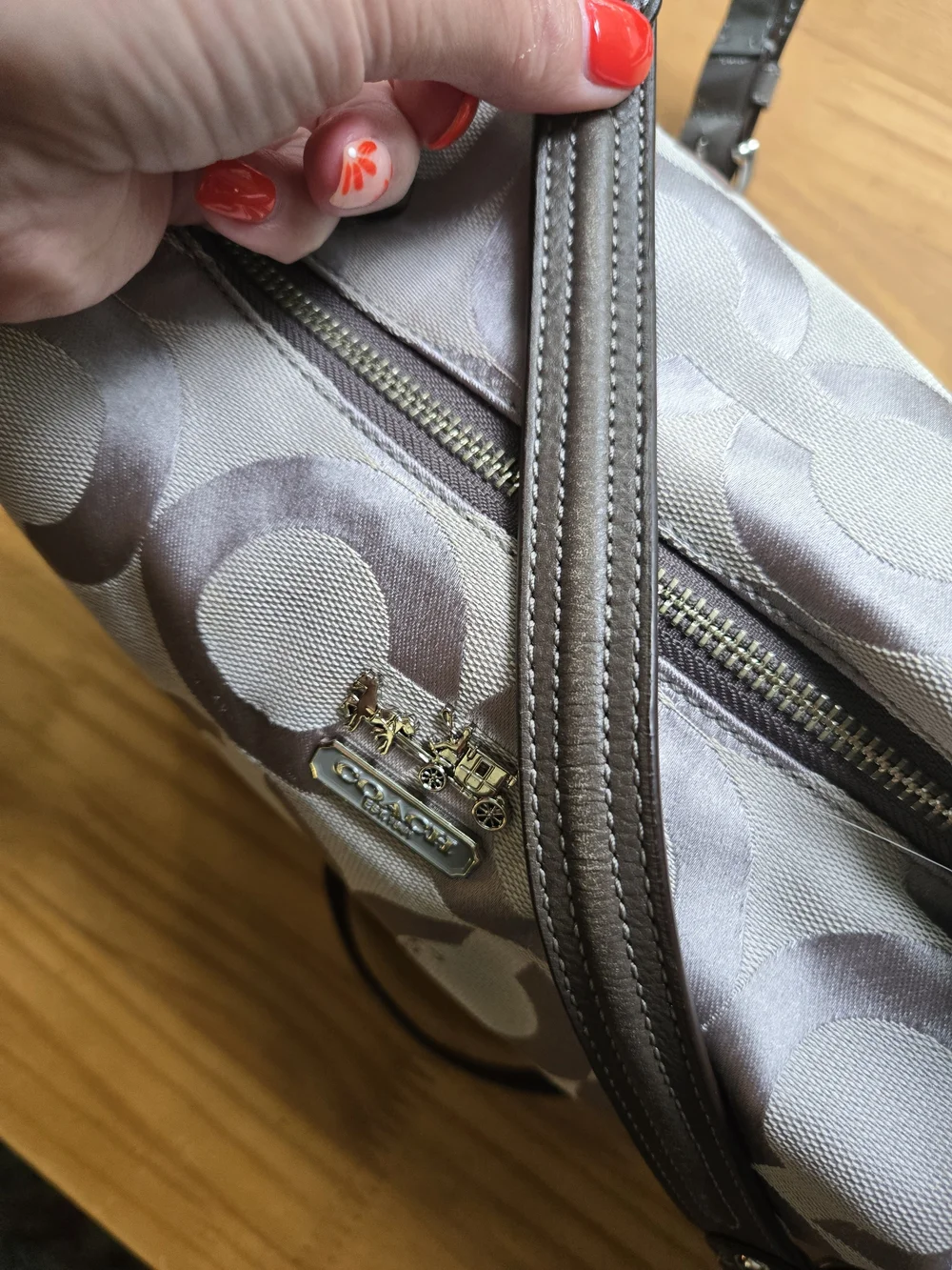 Coach Optic Signature Hobo Bag in Light Grey